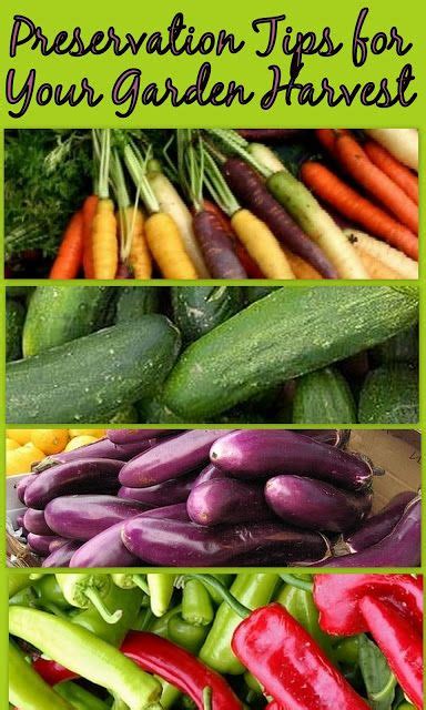 Tips On Preserving Your Produce From The Garden Canning Recipes