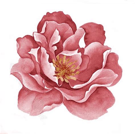 Pin By Kay Waldron On A Quilt College Peony Illustration Flower