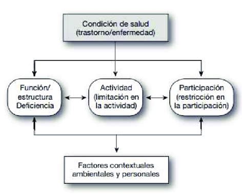 5 Esquema Definido Por La CIF Fuente Clasificaci N Internacional Del