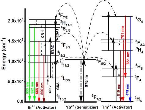 Energy Level The Diagrams Of Tm³⁺ Er³⁺ And Yb³⁺ Ions Download