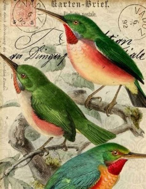 Victorian Postcard Artwork Victorian Bird Print Wall Art Etsy