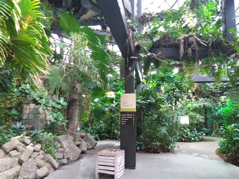 The Rainforest At The Cleveland Zoo Red Brick Road Studio