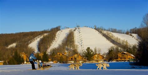 Shanty Creek Resort • Ski Holiday • Reviews • Skiing