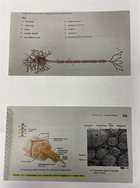 Lab Exam Diagram Quizlet