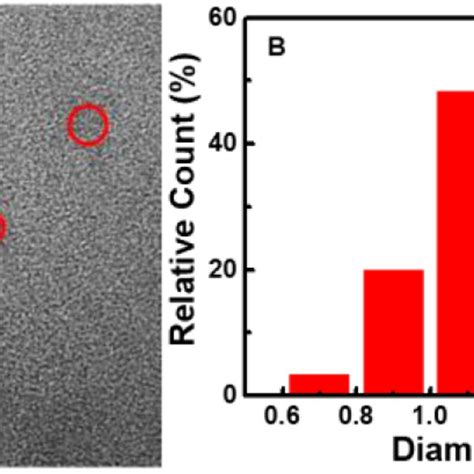 A TEM Image Of CDs B Particle Size Distribution Histogram