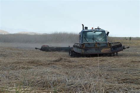 Management Wetlands Great Salt Lake Ecosystem Program