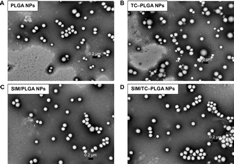 TeM Images Of Blank NPs And SIM Loaded Plga Or Tc Plga NPs Plga NPs