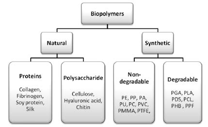 Biopolymers Classification Explanation Of Abbreviations Are Located In