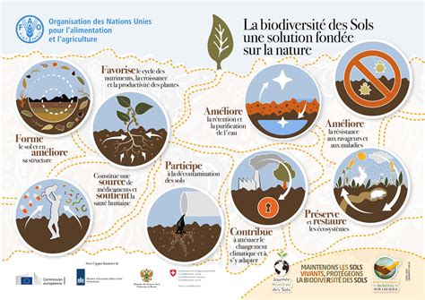 Journée mondiale des sols le 5 décembre Centre de compétences sur les