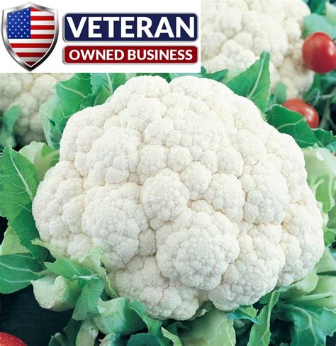 Cauliflower Seeds Snowball Y Improved 600 Heirloom Seeds Plants