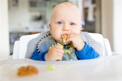 Alimentaci N Complementaria Y Baby Led Weaning Todo Lo Que Debes Saber