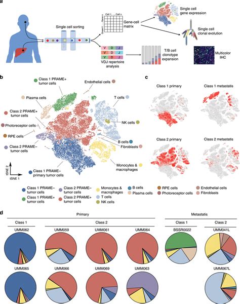 Aggregate Analysis Of 59915 Single Cells From Eight Primary And Three