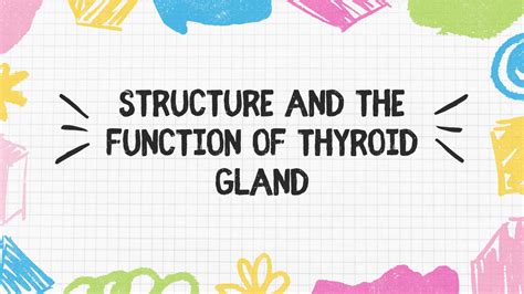 solution structure  function  thyroid gland studypool