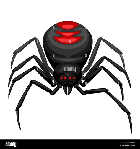 Icono De La Ara A Viuda Negra Imagen Vector De Stock Alamy