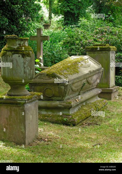 coffin casket of stone gravestones tombstones in the old cemetery of ...