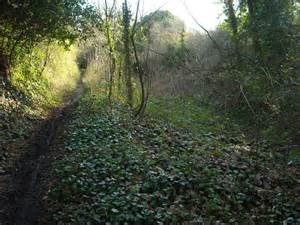 Thames And Severn Canal Cirencester Arm Vieve Forward Geograph