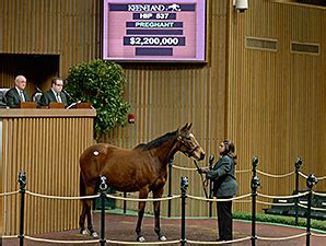 Up Brings $2.2 Million at Keeneland Sale - Four Star Sales