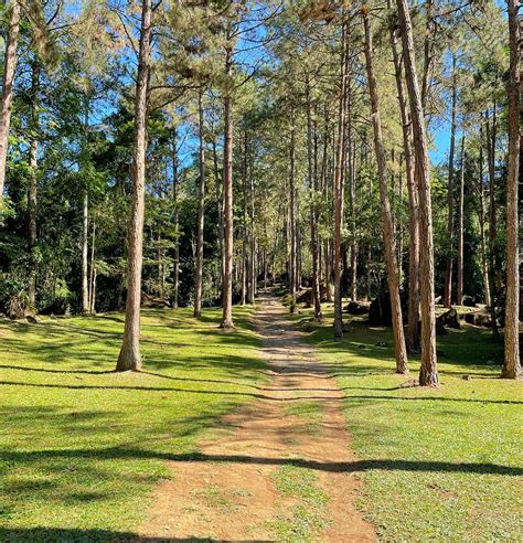 Guia Completo Para Acampar No Camping Clube Do Brasil Em Filial