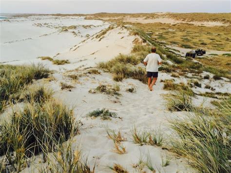 Premium Photo Rear View Of Man Walking On Grassy Sand Dune At Beach