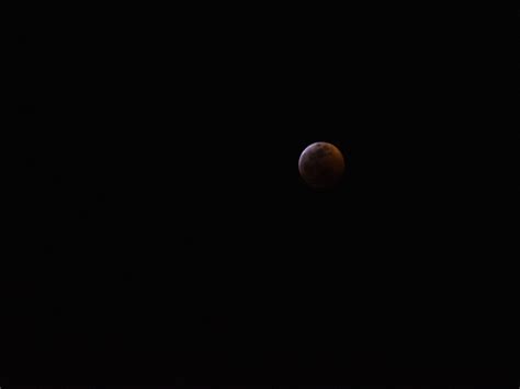 Blood Moon Lunar Eclipse Free Stock Photo Public Domain Pictures