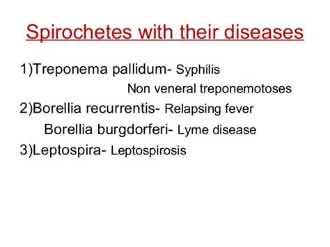 Spirochetes