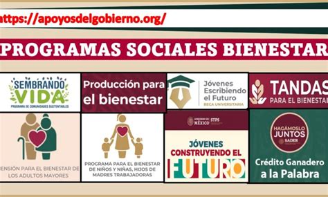 Programas Sociales Bienestar Febrero 2025