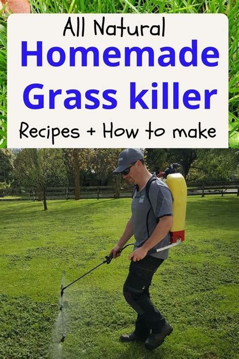 8 Easy Ways To Kill Grass And Weeds Permanently Artofit