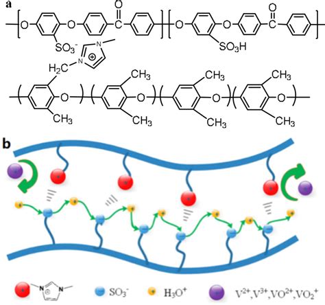 The Preparation Of Speek‐imppox Membrane A And Diagram Of The