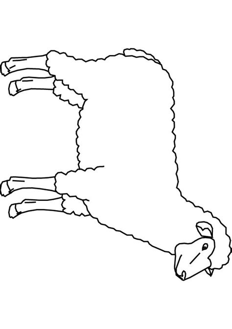 Printable Sheep Pattern Cut Out Sketch Coloring Page