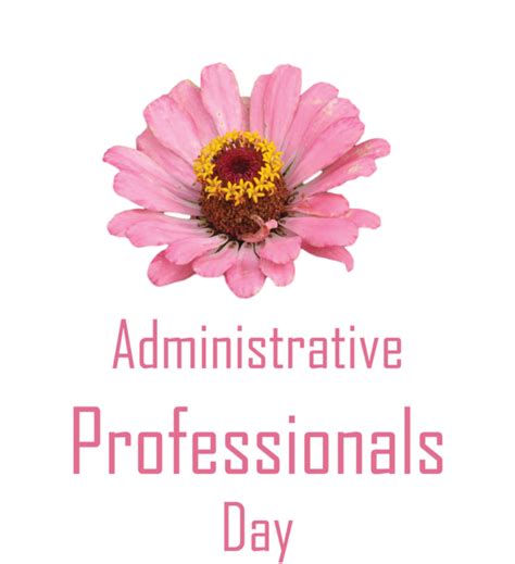 Administrative Professionals Day Garden Cosmos Cut Flowers Transvaal