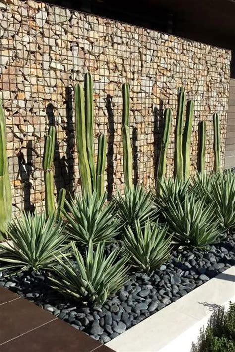 13 Desert Plants to Use When Landscaping | Hunker Palm Springs ...