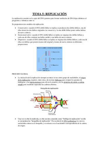 RESUMEN TEMA 5 BIOQUIMICA Pdf