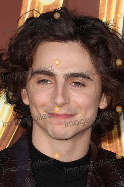 Photos And Pictures Timothee Chalamet 12 10 2023 Wonka Los Angeles