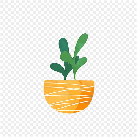 Succulent Pot Clipart Transparent Background Hand Drawn Beautiful