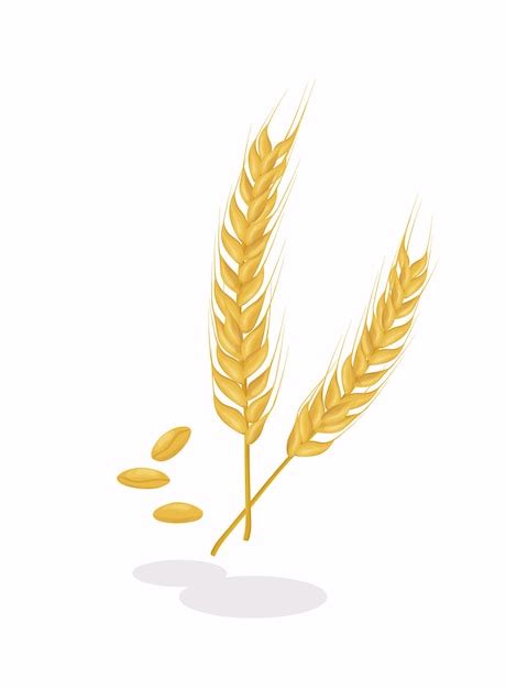 Wheat Head Clip Art