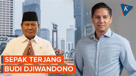 Profil Budi Djiwandono Ponakan Prabowo Yang Digadang Maju Pilkada DKI