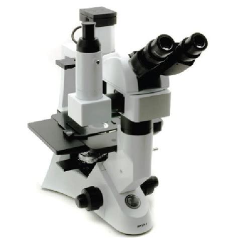 Optika XDS 2 ERGO Inverse Microscope Trinocular Ergo Head IOS LWD