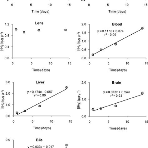 Relationships Between The Total Hg Levels Thg Mg G À1 Dry Weight Download Scientific