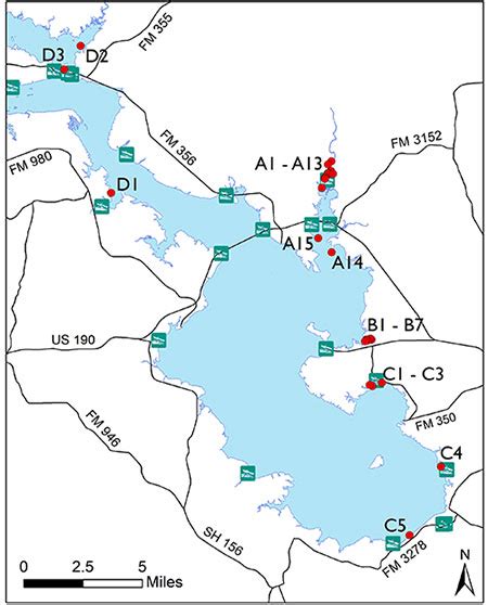 Map Of Lake Livingston - Zip Code Map