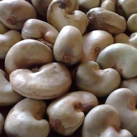 Raw Cashew Nut Packaging Kg At Rs Kilogram In Dombivli Id