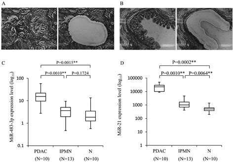 Circulating Mir P And Mir Is Highly Expressed In Plasma Of