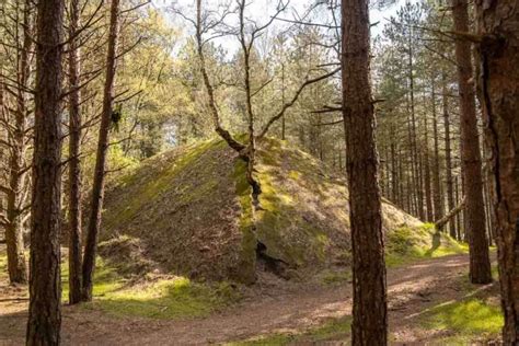 Hiking In The Lommel Sahara Belgium S Only Desert Emma S Roadmap