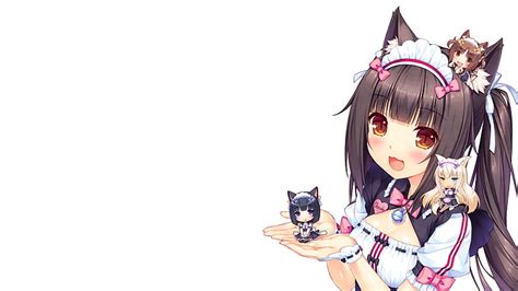 Azuki Nekopara 1080p 2k 4k 5k Hd Wallpapers Free Download