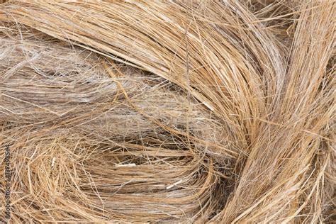 Raw Flax Fiber Stock Photo Adobe Stock