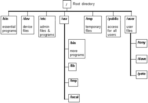 Unix File System Structure Hot Sex Picture