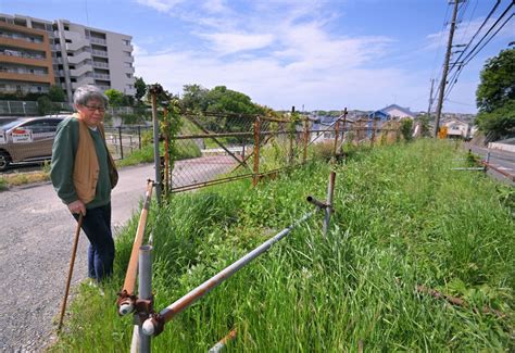 竹やぶから2億円 「大変な目に遭った」 拾った男性が負った傷 写真特集26 毎日新聞