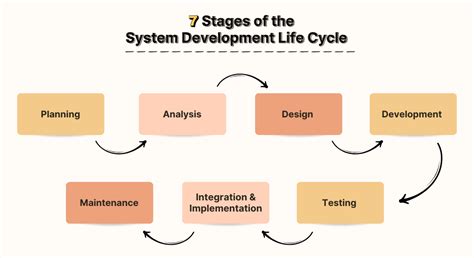 Explore the System Development Life Cycle and Phases