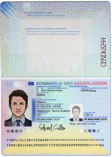 Netherlands Passport Psd Template Download Photoshop File