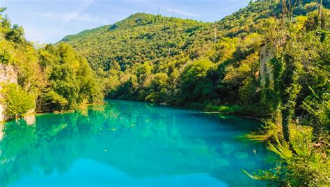 Parco Fluviale Del Nera Il Cane Dei Poretti