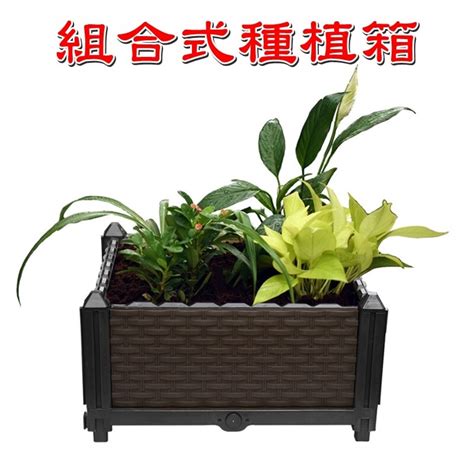 【jls】一格40x40cm 種植箱 種菜箱 組合式種植箱 栽培箱 種菜盆 － 生活市集